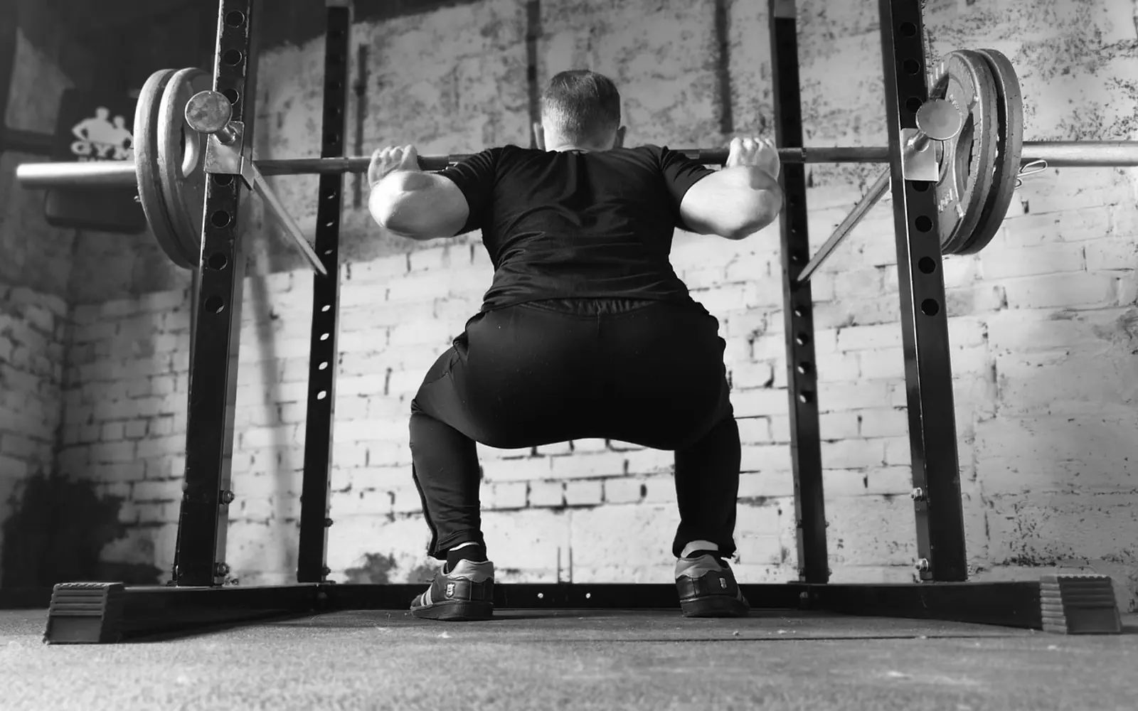 Barbell, gym and squat rack